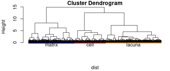 Hierarchical cluster analysis: the dendrogram.